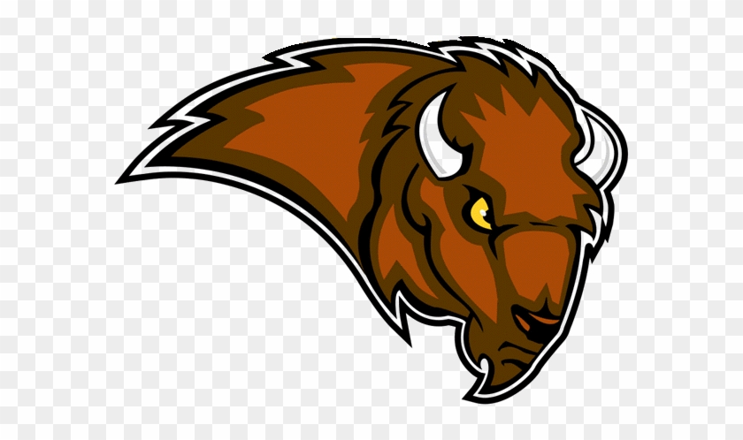 Bison Team Logo #1269074