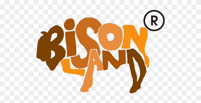 Bison Land #1269119