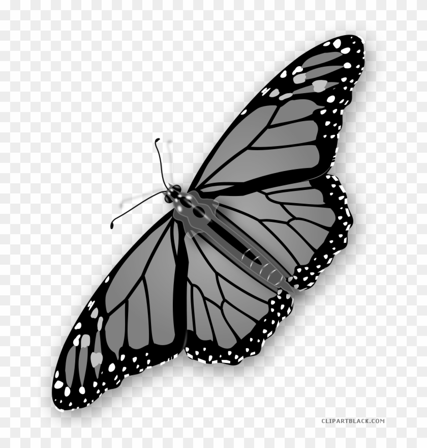 Grayscale Butterfly Animal Free Black White Clipart - Butterfly Clip Art #1269172