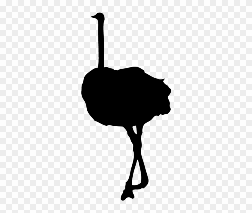 Forgetmenot Ostrich Silhouette - Lion Vector #1269280