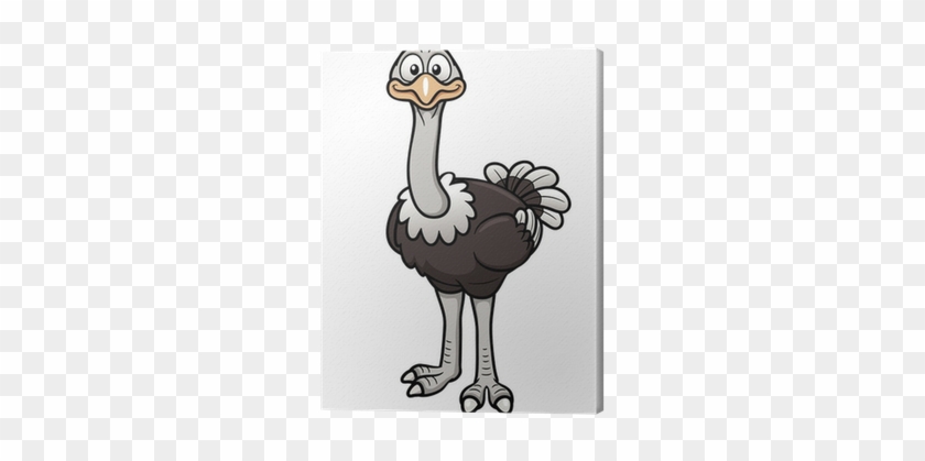 Vector Illustration Of Cartoon Ostrich Canvas Print - Cartoon Picture Of An Ostrich #1269286