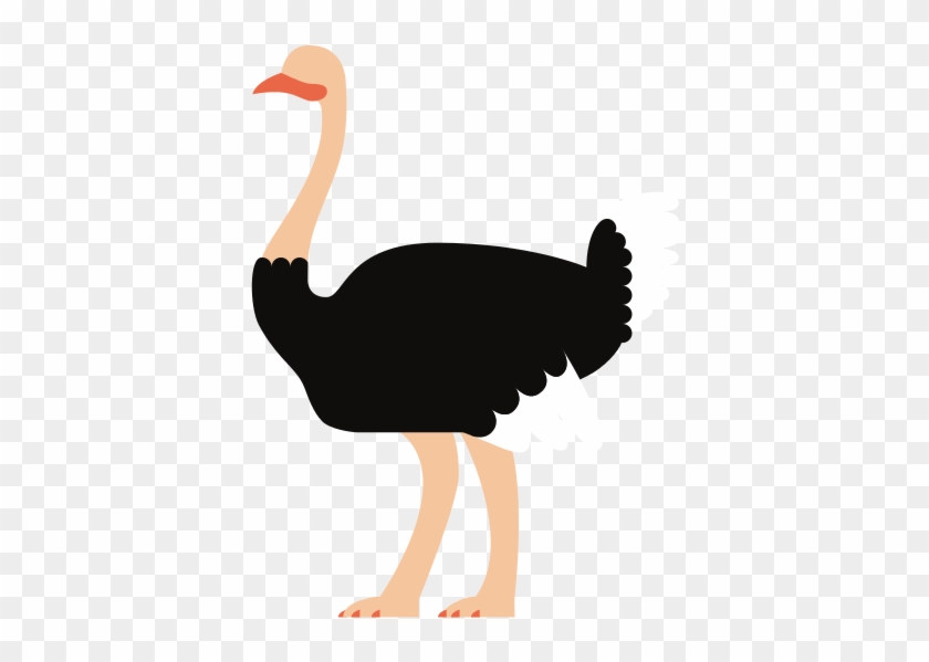 Cartoon Ostrich Isolated - Common Ostrich #1269287