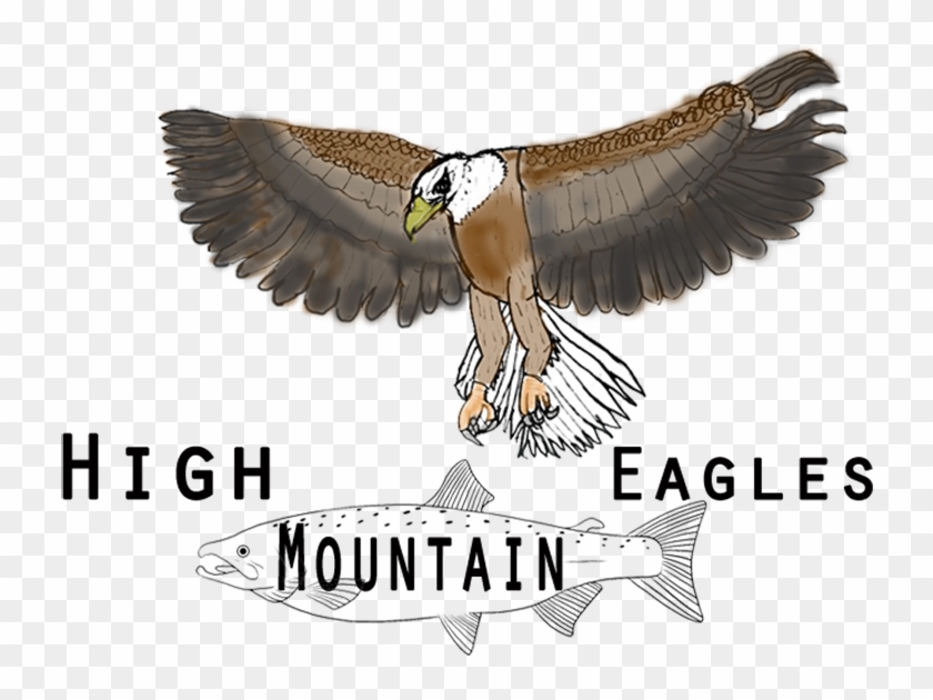 Eagle Engineering #1269326