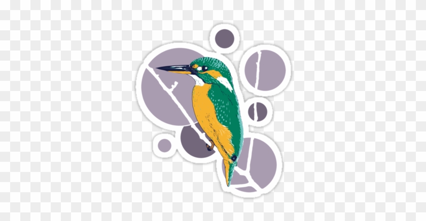 'kingfisher On A Bough' Sticker By Savousepate - Woodpecker #1269356
