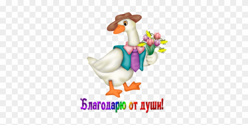 0 Bac77 C03e3966 Orig - Duck #1269505