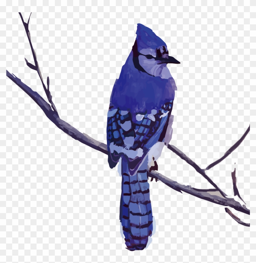 Bird Blue Jay Drawing Painting Art - Blue Jay Drawing #1269681