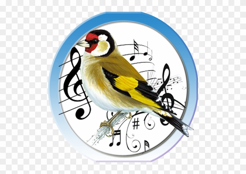 Goldfinch Clipart Less - Cafepress Musical Symbols 60" Curtains #1269695