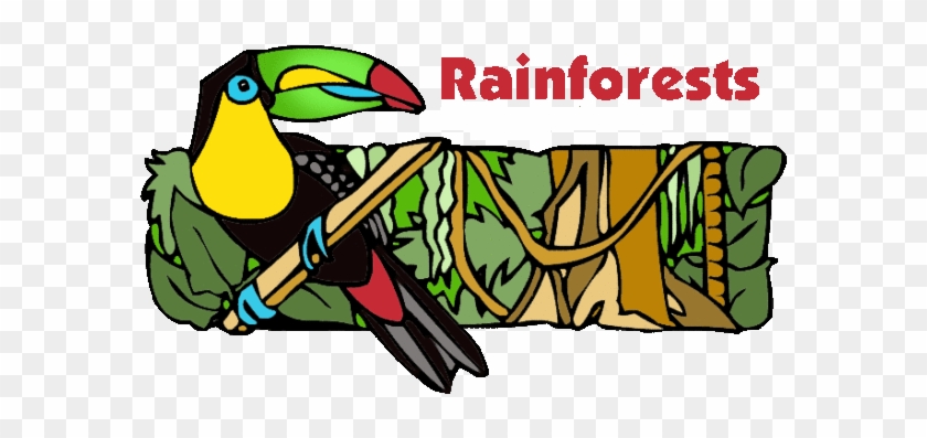 Greenwich And Stow Creek Students, From Kindergarten - Amazon Rainforest Clip Art #1269759