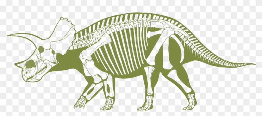 Skeleton Clipart Triceratops - Skeleton #1269800