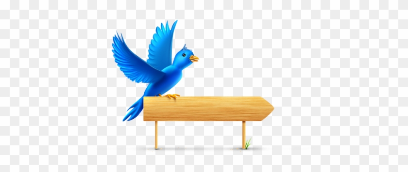 Format - Png - Bird On A Perch Clipart #1270012