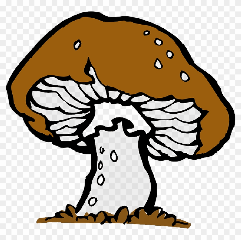 Vegetable - Mushroom Clip Art #1270726