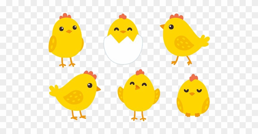 Baby Chicken Png Image With Transparent Background - Cartoon Chickens Transparent Background #1270744