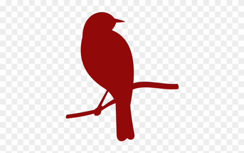 Perching Bird #1271194