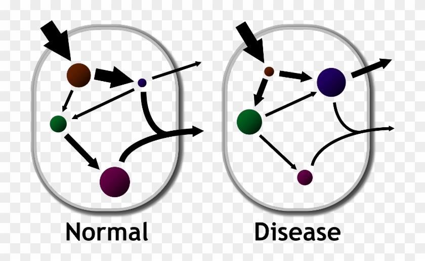 Serum Free Fatty Acids Are Typically Elevated In Individuals - Circle #1271263