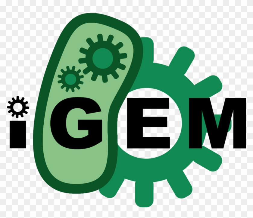 From 2013 - Igem - Org - International Genetically Engineered Machine #1271421