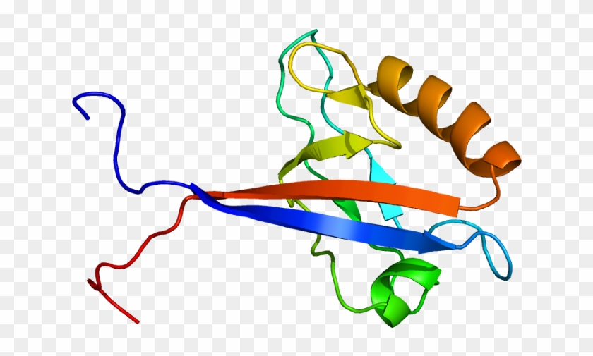 Protein Data Bank #1271454