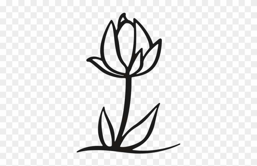 Flower, Bloom, Growth, Expansion, Leaf, Leafage, Nature - Black And White Tulip Png #1271489