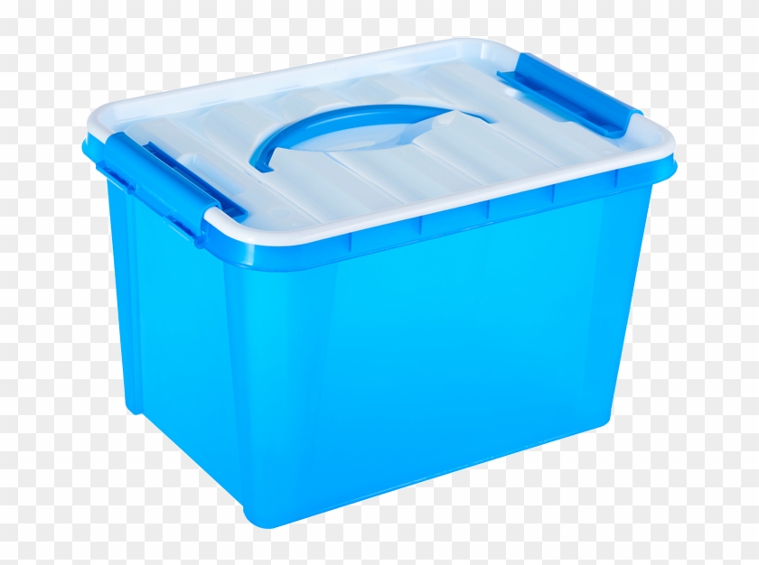 Box Plastic Lid Paper Container - Box #1271518