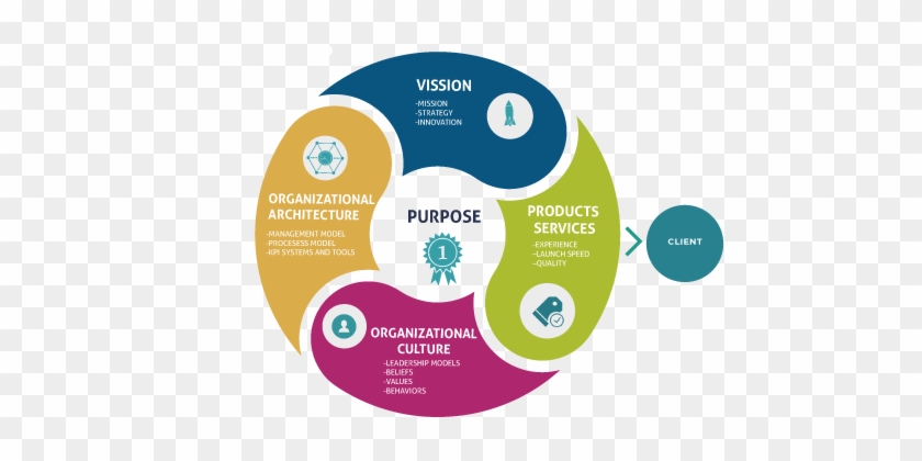 Cultural Evolution - Model On Organization Culture #1272536