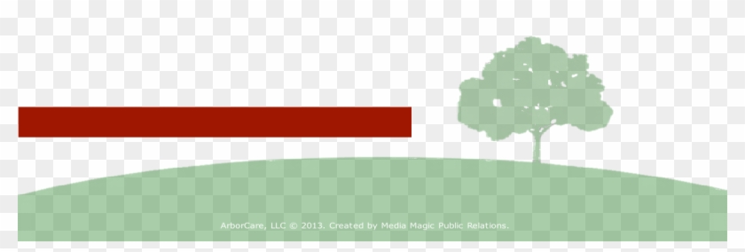 The Affordable Company That Cares - Condominio #1272672