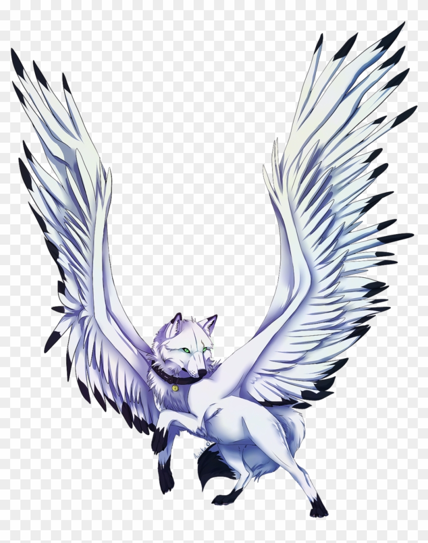 Anime Wolf Angel Coloring Page  Turkau
