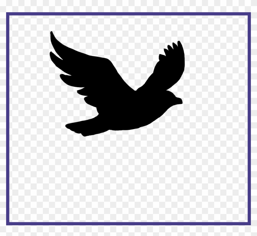 Pigeon Flying White Pigeon Flying Clipart Marvelous - Silhouette Of A Bird Flying #1273483