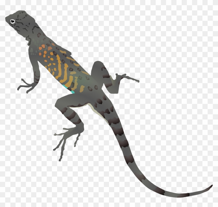 Big Image - Desert Lizard Clipart #1273655