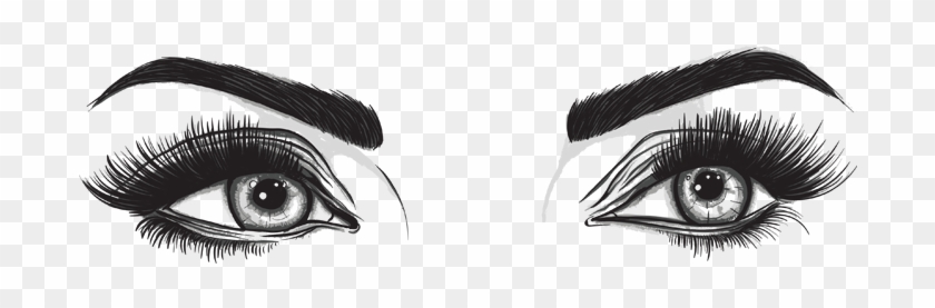 Human Eyes Clipart Black And White - Eyes And Eyebrows Png #1274002