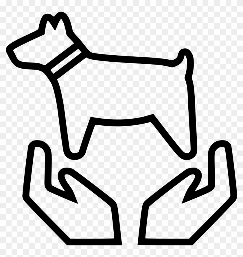Dog Pet Insurance Computer Icons Pet Sitting - Pet #1274239