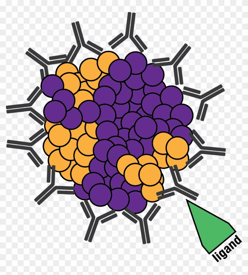 Diversimab Immune Reaction - Diversimab Immune Reaction #1274273
