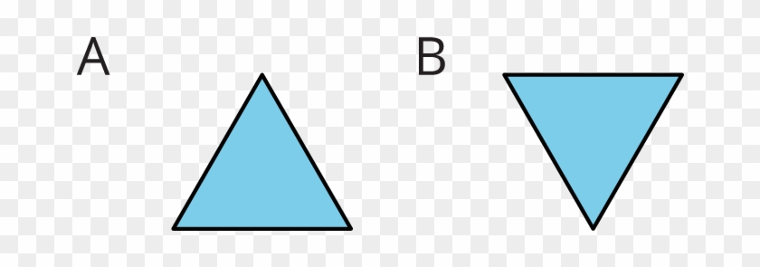 Two Shapes That “match Up Exactly” Have The Same Area - Elementos De Un Poligono #1274348