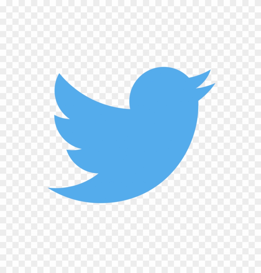 “during The - Png Format Logo Twitter #1274722