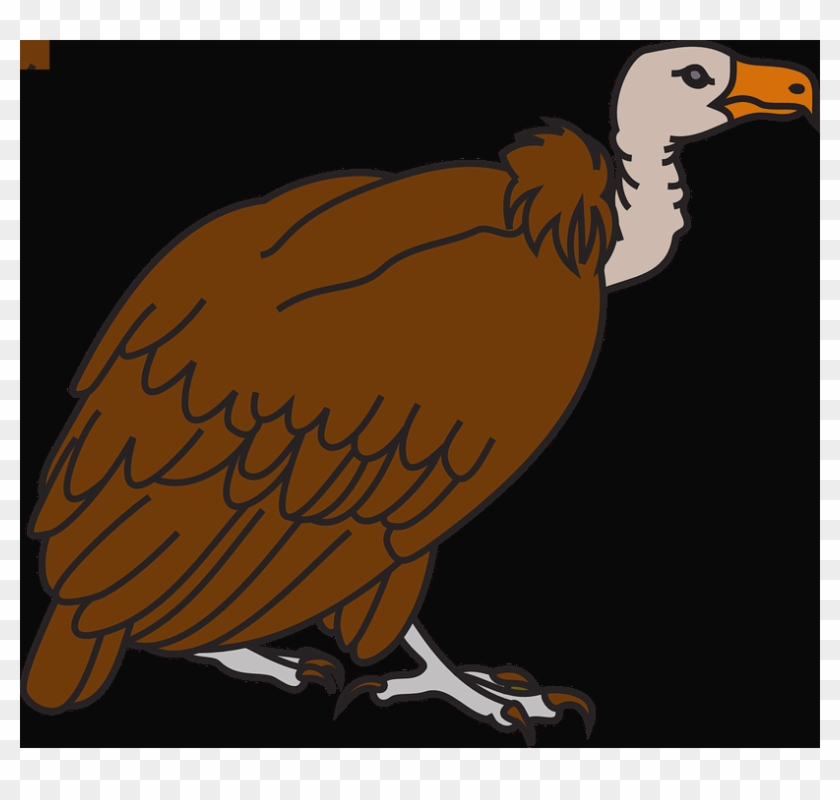 Vulture Clipart Transparent Background #1275483