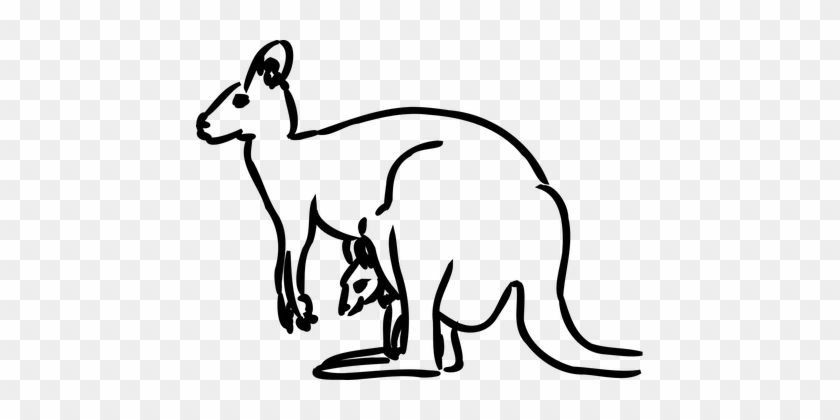 Kangaroo Baby Animal Mammal Jumping Austra - Kangaroo Clip Art #1275555