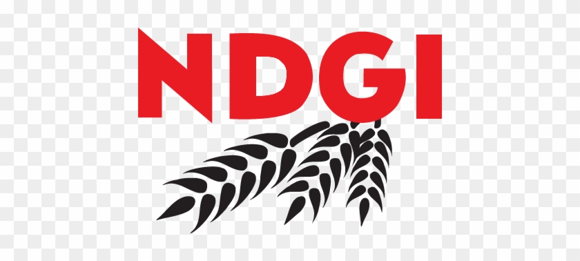Ndgi Logo - Fargo #1276099