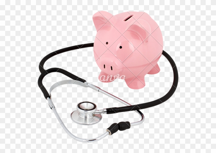 Piggy Bank With A Stethoscope - Domestic Pig #1276315