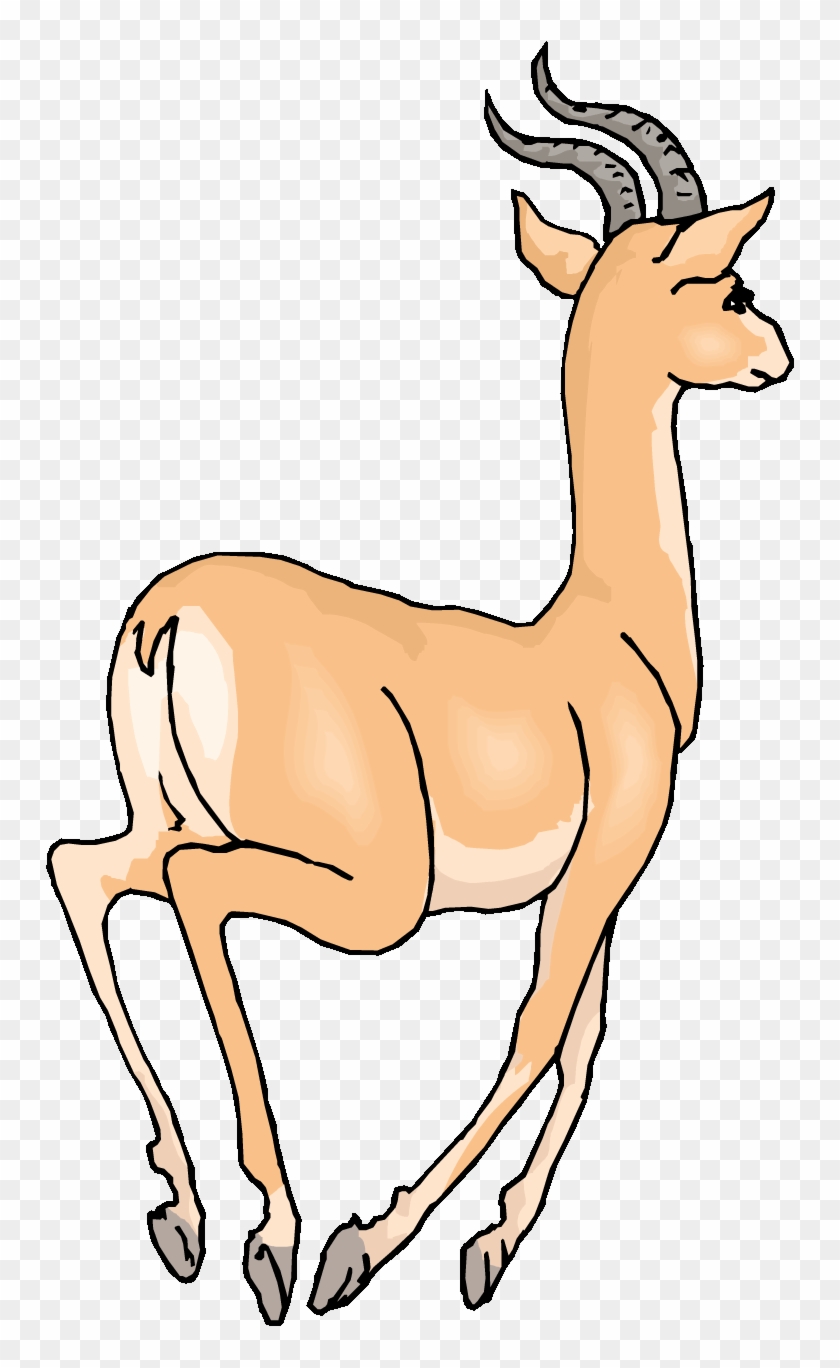Running Gazelle - Running Gazelle Clipart #1276324