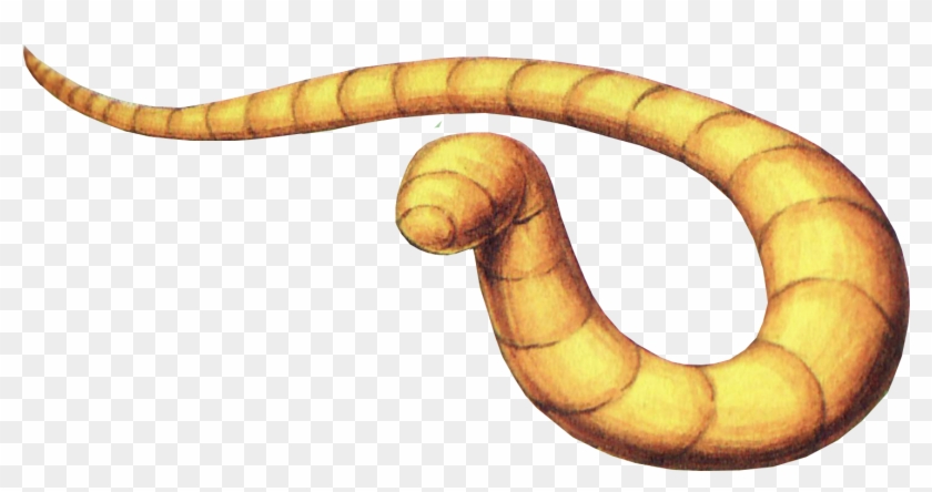 Moldorm Artwork Loz Kodokawa Shoten Guide - Moldorm Artwork Loz Kodokawa Shoten Guide #1276392