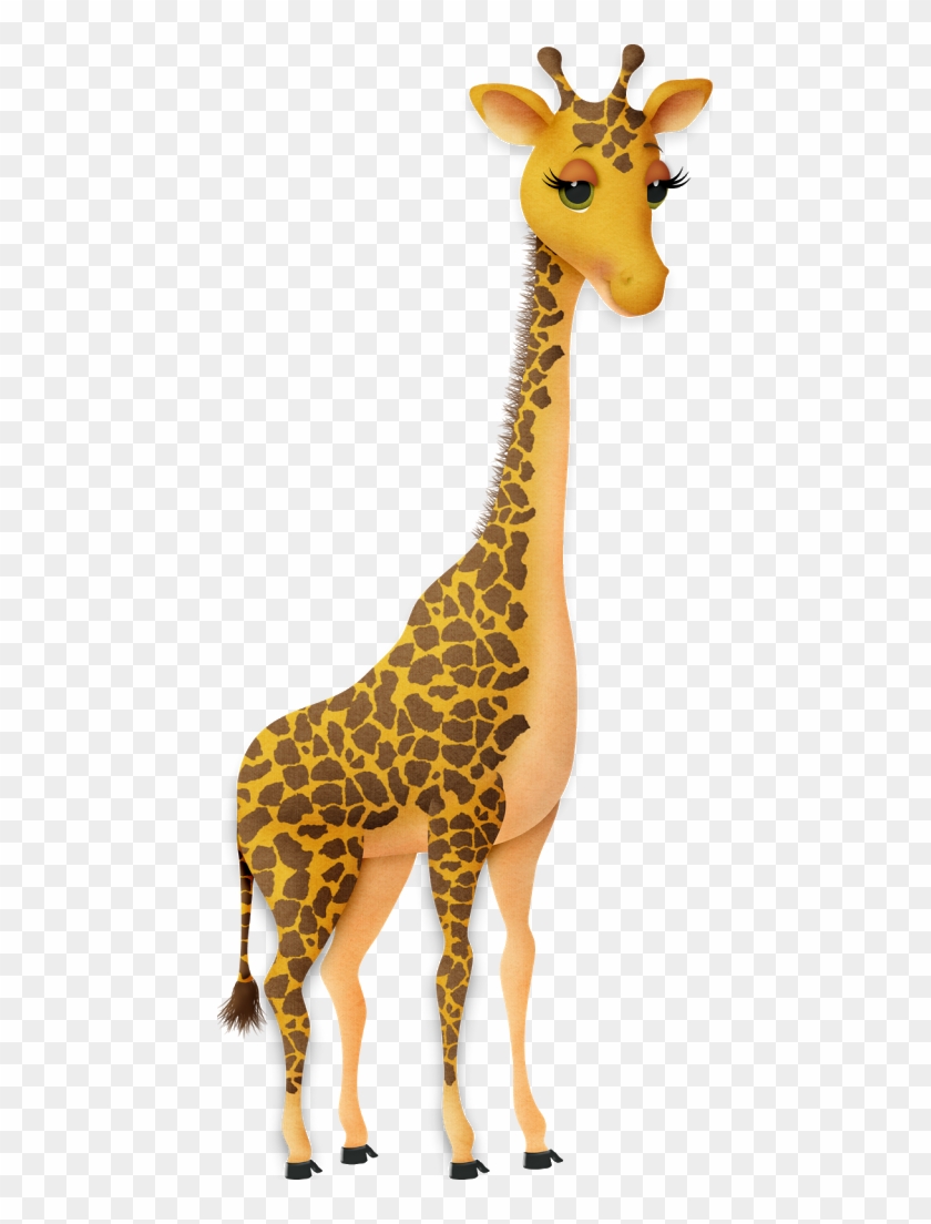Picasa Web Albums - Cartoon Picture Of A Giraffe #1276424