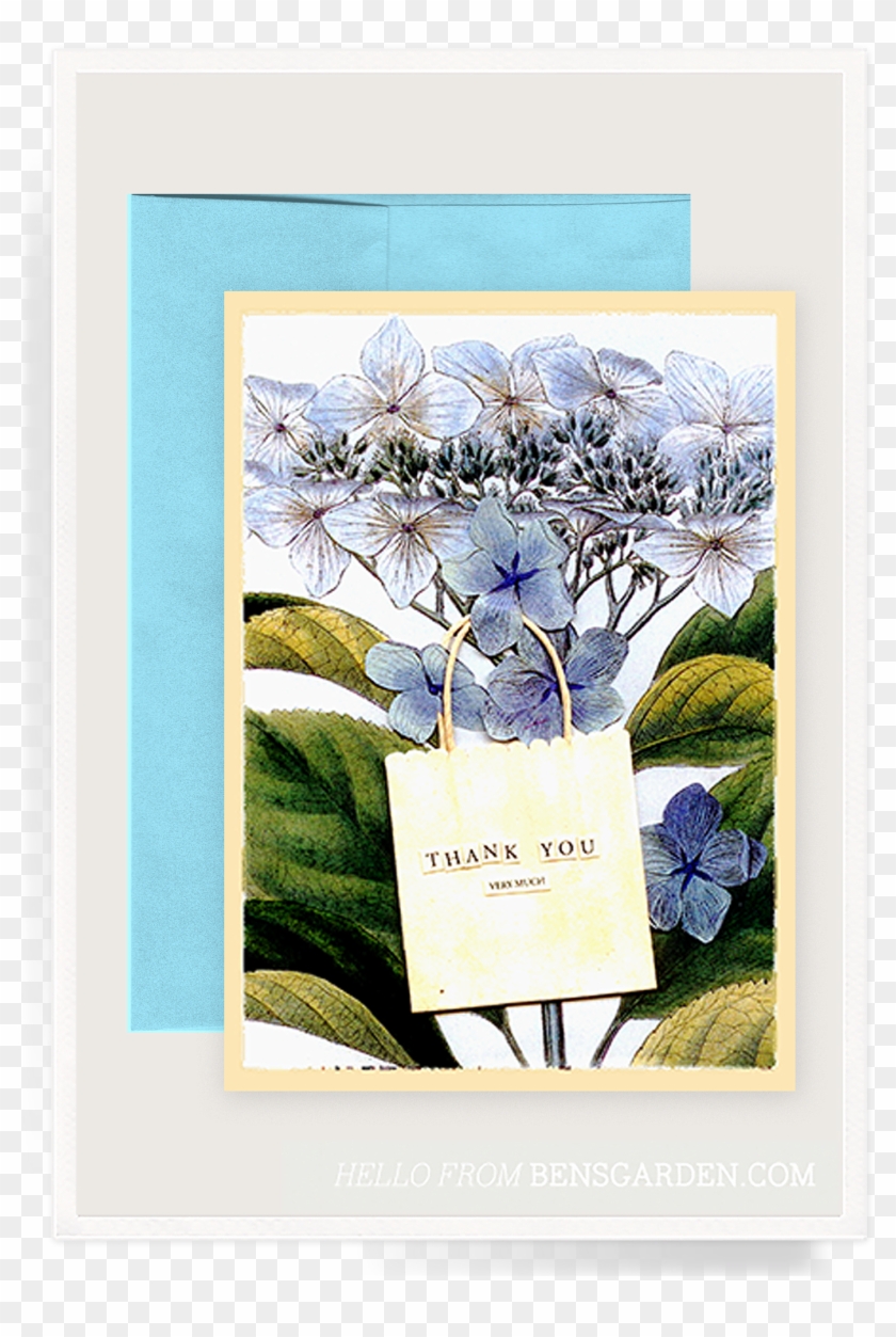 Thank You Hydrangea Folded Greeting Card - Giclee Painting: The Vintage Collection's Hydrangea #1276533