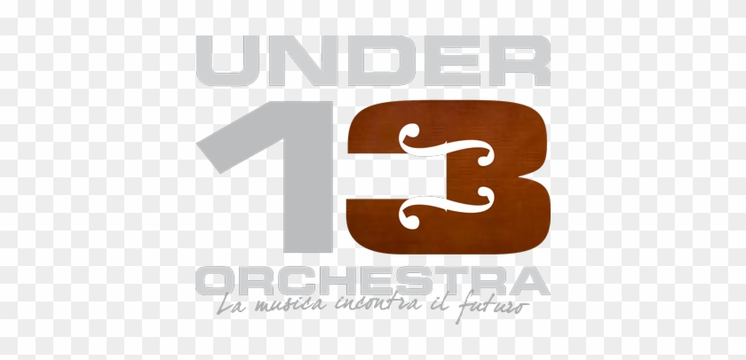 Under 13 Orchestra - Project #1276677