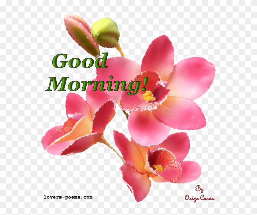 Good Morning - Good Morning Love Gif Animation - Free Transparent PNG  Clipart Images Download
