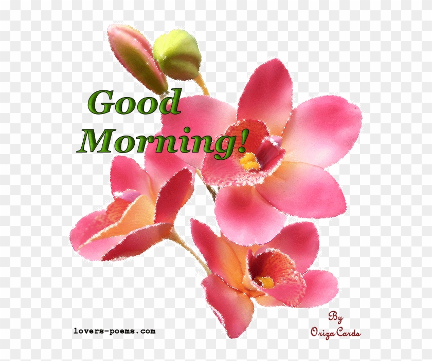 Good Morning Good Morning Love Gif Animation Free Transparent Png Clipart Images Download