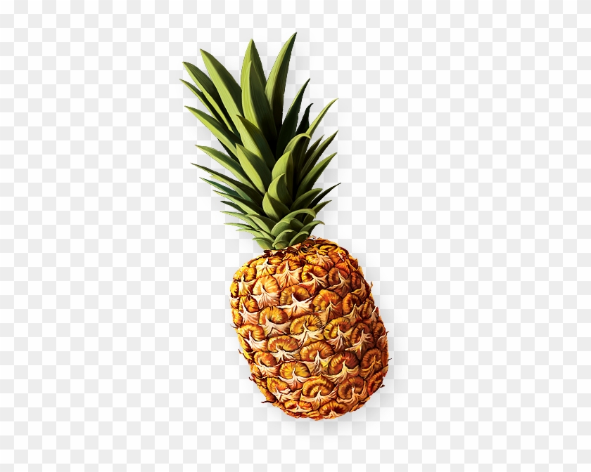 Read More - Pineapple #1277417