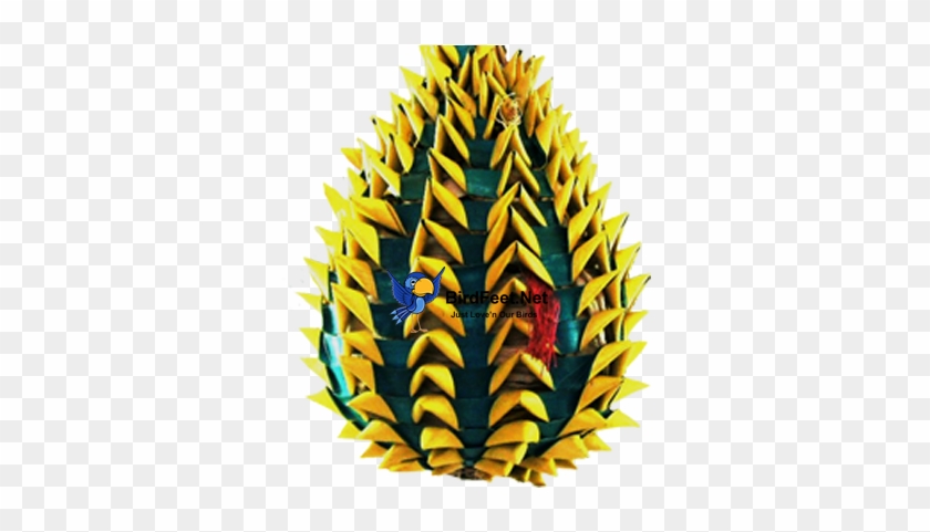 Planet Pleasures, Pineapple Foraging Toy, Extra-large, - Floral Design #1277429