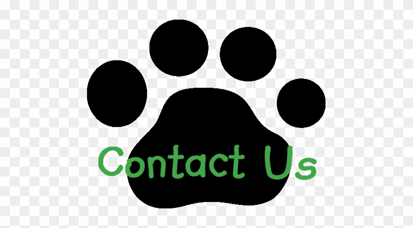We Provide Reliable Dog Walkers & Pet Nannies In Arlington, - Happy Hounds #1277919
