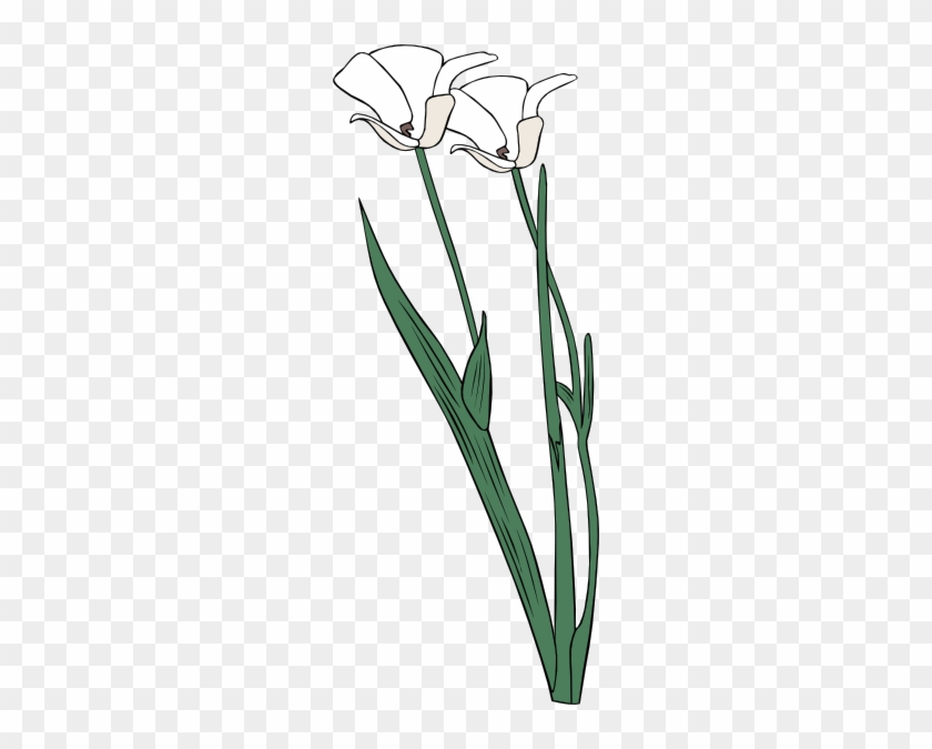 How To Set Use Mariposa Lily Svg Vector - Contorno De Flores #1277928