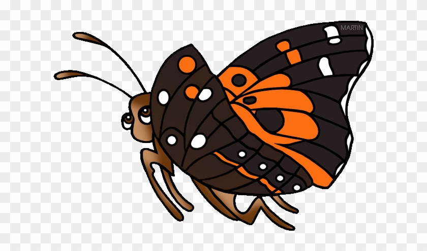 State Insect Of Hawaii - United States Of America #1277983