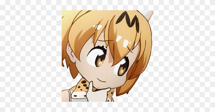 174kib, 358x358, 1517379008754 - Kemono Friends Serval Dumb Face #1278195