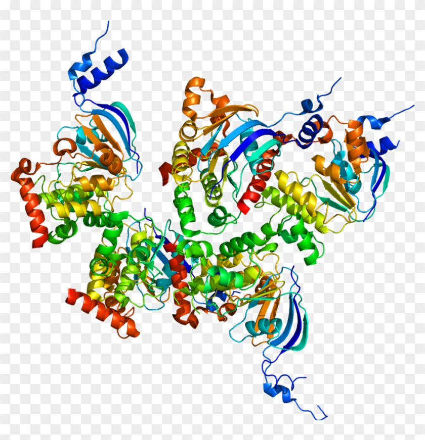 Protein Cftr Pdb 1xmi - Cystic Fibrosis Transmembrane Conductance Regulator #1278425